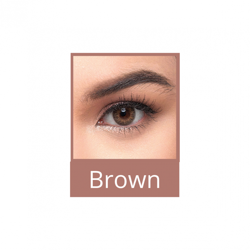 TruBlends One-Day 14.20mm Brown (boîte de 10)