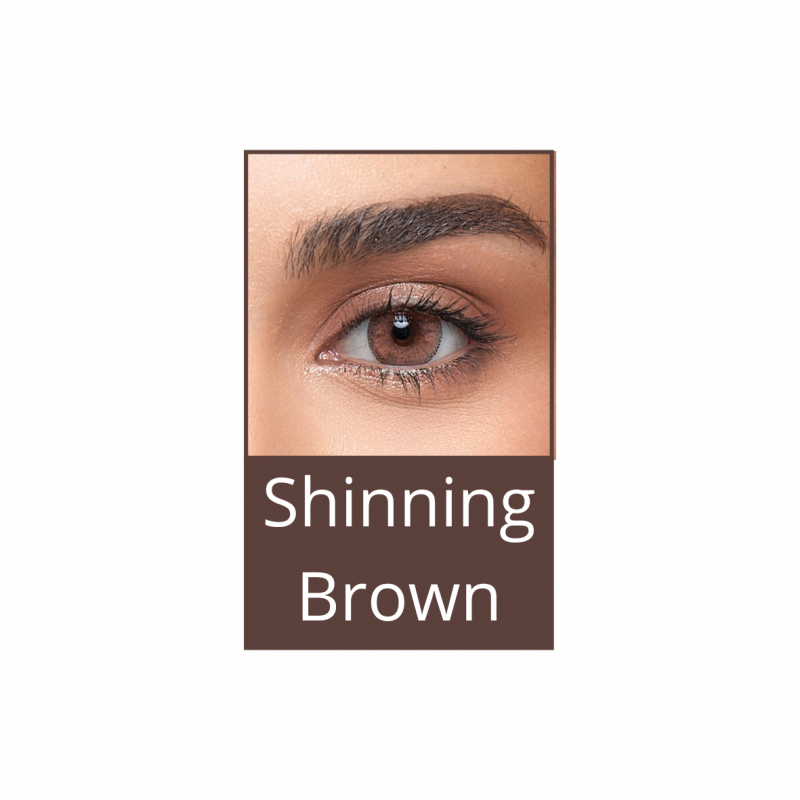 Lumina 14mm Shining Brown (boîte de 2) Lumina 14mm Shining Brown (boîte de 2)