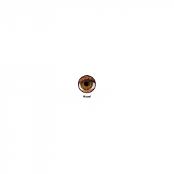 Air Optix® Colors Pure Hazel (boîte de 2)