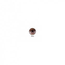 FreshLook® 1-Day Grey (boîte de 10)