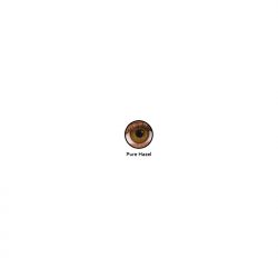 FreshLook® 1-Day Hazel (boîte de 10)